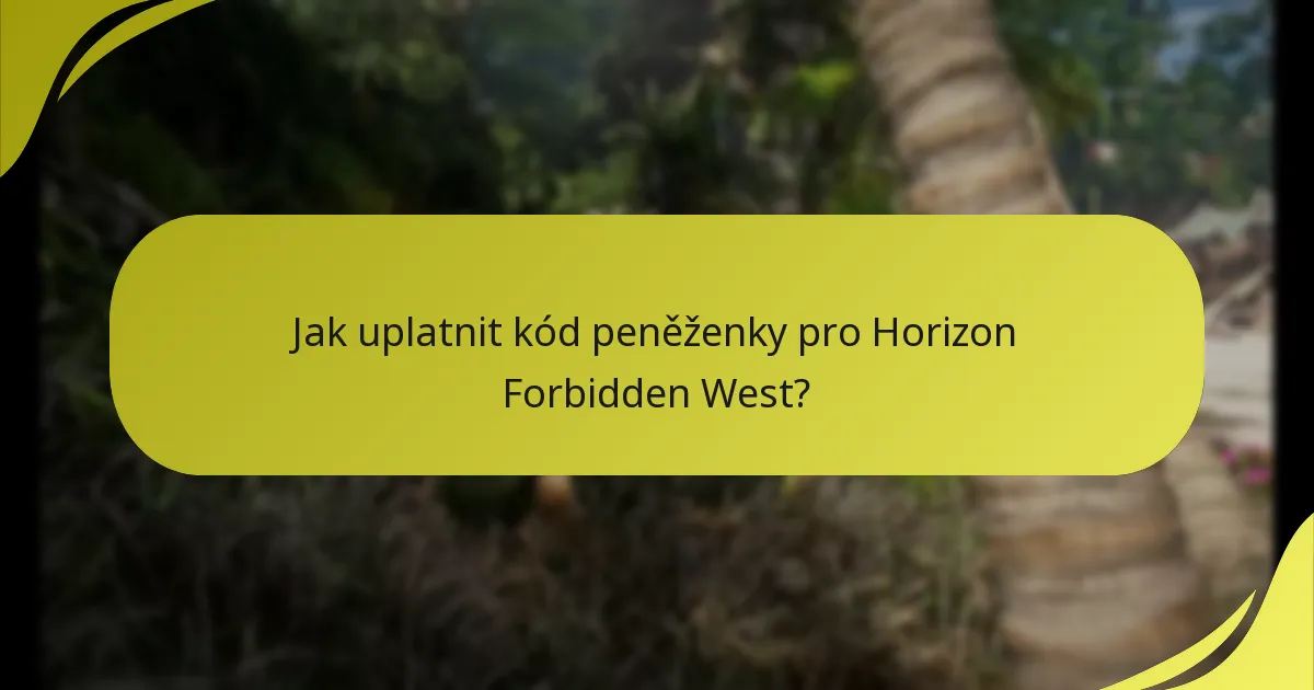 Co mám dělat, pokud narazím na problémy s uplatněním kódů peněženky?