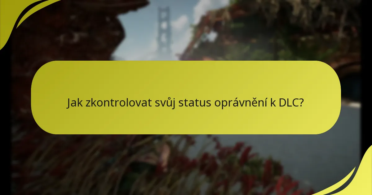 Jaké online nástroje jsou k dispozici pro správu oprávnění k DLC?