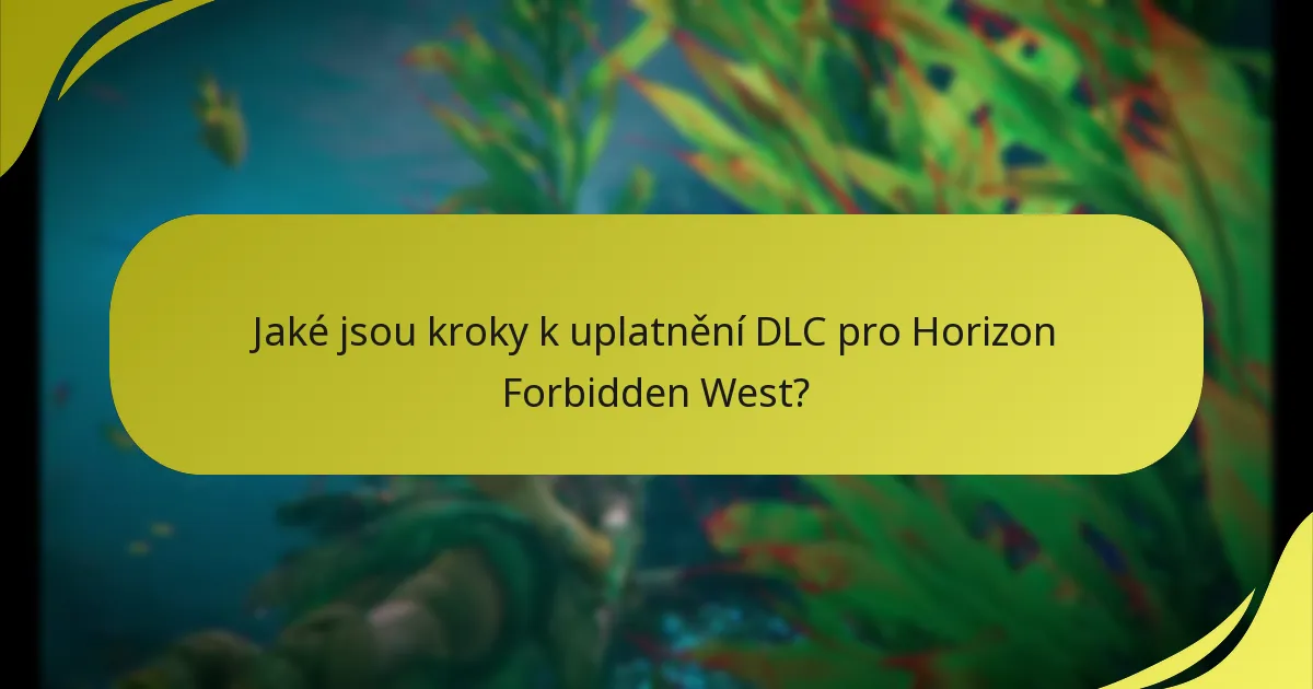 Jaké problémy s přístupem mohu mít s DLC pro Horizon Forbidden West?